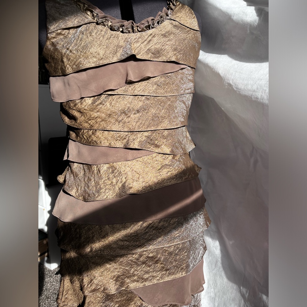 Brown&Bronze S.L.Fashion, Beaded, Ruffled Dress (size8)
